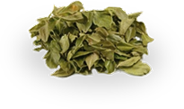 tinnitus ingredients buchu leaves