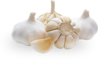 tinnitus ingredients garlic